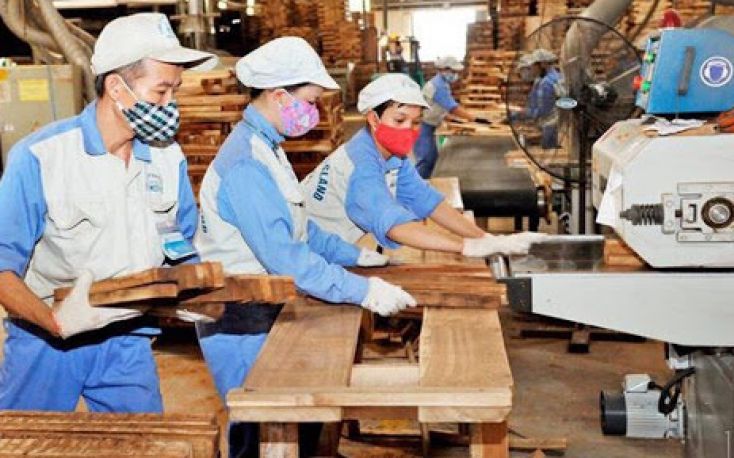 50% of Vietnamese timber processing companies face the risk of bankruptcy