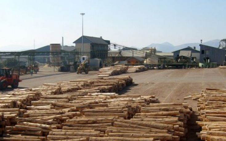 China plans a US$ 1.5 billion timber processing complex in Russia
