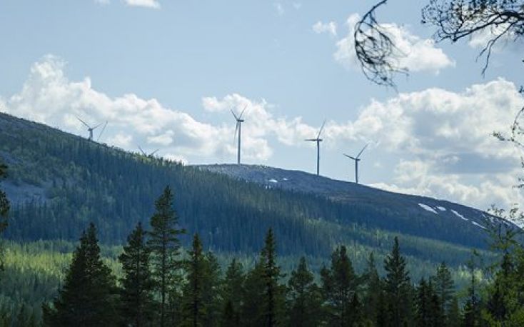 Stora Enso wants to acquire forest assets from Bergvik Skog AB