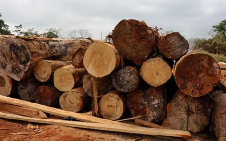 Ghana: Latest prices for wood products