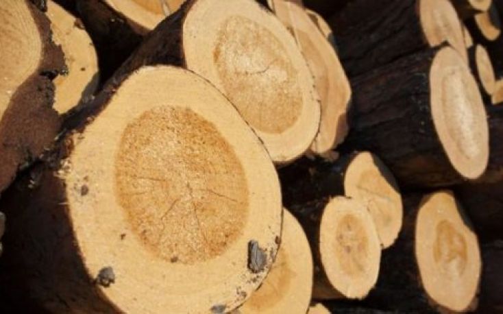 Roundwood prices in Finland grew by 6% during 2018