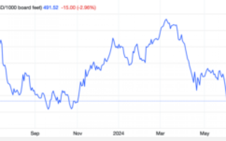 Global wood prices plummet sharply – Pessimistic outlook for the wood market in 2024