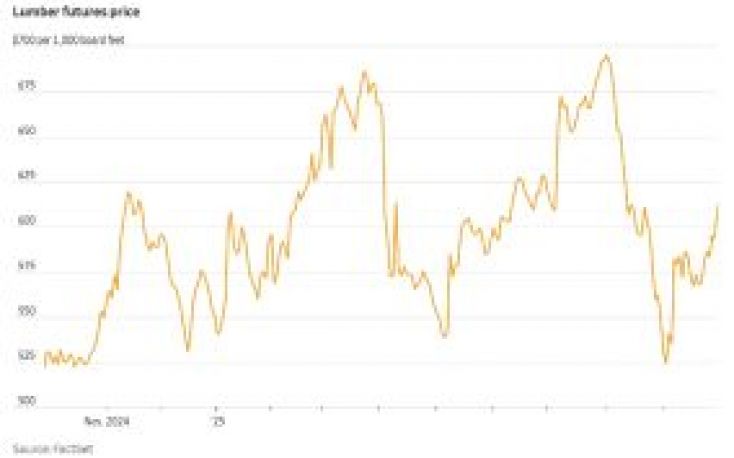 Lumber prices surge as U.S. imposes new tariffs on imports