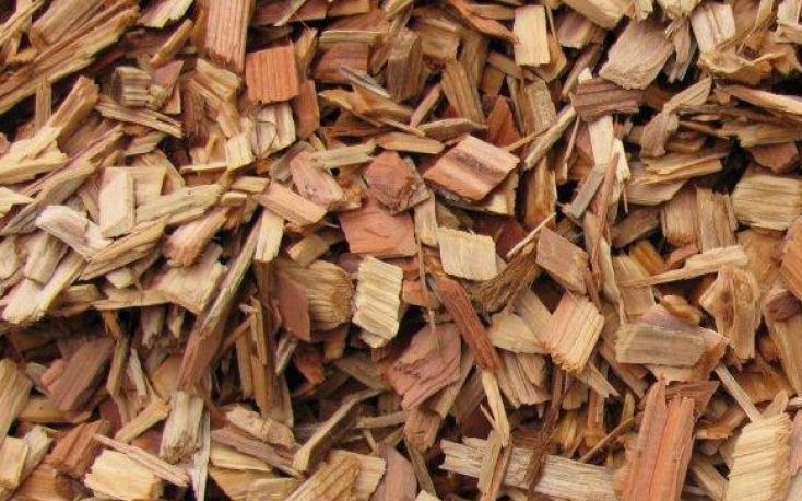 Brazil, Uruguary wood chip exports rise, Chile shipments decline