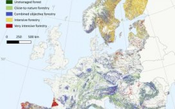 Climate-driven forest disturbances could slash Europe’s timber value by up to 42%