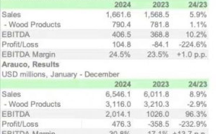 Arauco’s 2024 financial performance shows strong recovery and growth across divisions