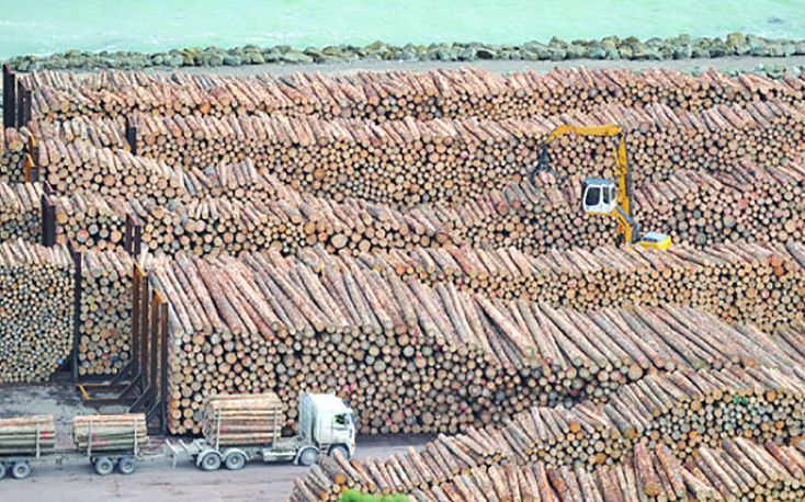 Chinese timber demand on the rise in mid-August as construction activity heats up