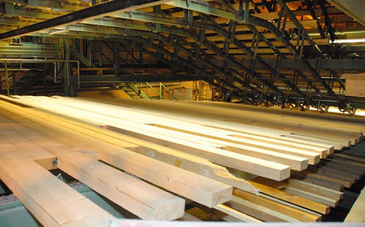 Softwood lumber exports from Belarus to the EU went up by 50%, despite export ban