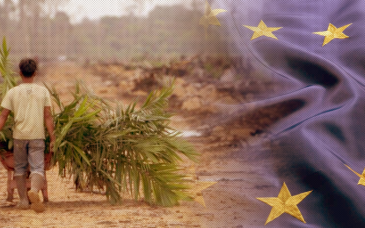 EUDR: Overview and key considerations for companies