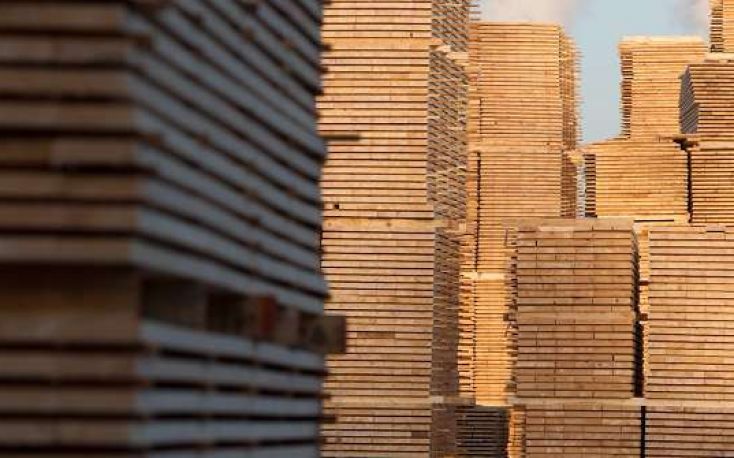 COVID-19 impact on wood consumption in US