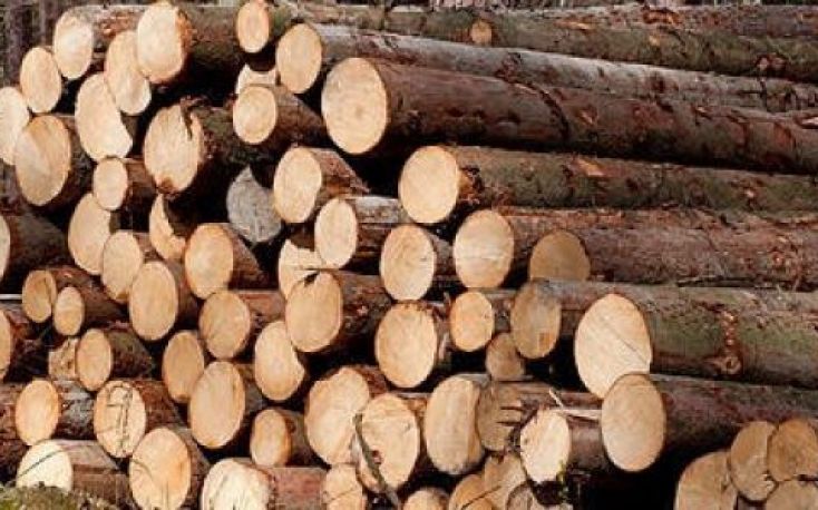 Germany: Spruce log prices up 35% yoy