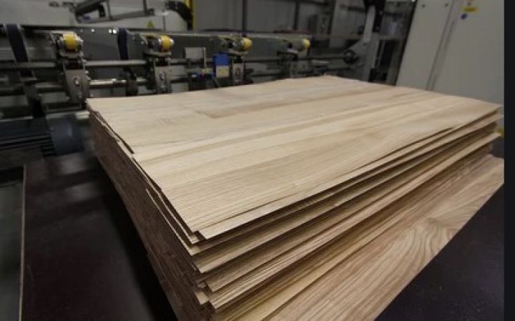 Austrian JAF Group to close raw veneer plant in Romania