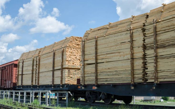 Belarus timber flows to EU circumventing sanctions via Central Asia